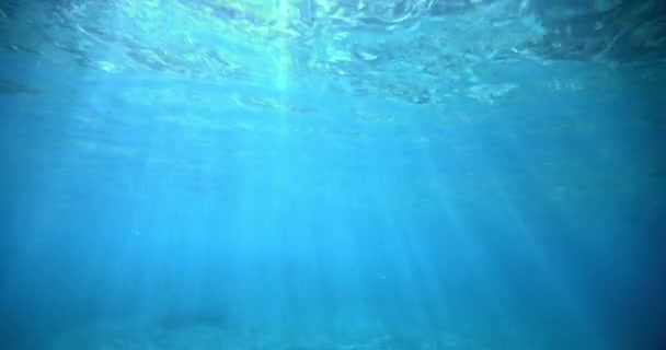 Tropische Fische Unterwasserblick Mit Lichtstrahlen Paradies Meer Mit Sterbenden Korallenriffen — Stockvideo
