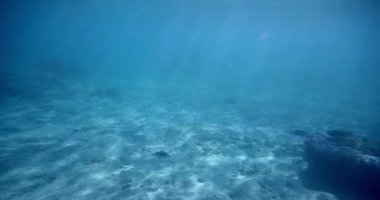 Tropic ışık ışınları ile balıklar sualtı görünümü cennet deniz mercan kayalığı kirliliği can ile temiz mavi su