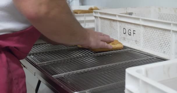 贝克装饰糕点和蛋糕在面包店厨房 专业企业自制甜点奶油管道和巧克力糖衣糖对待美丽的零食不健康的食物 — 图库视频影像