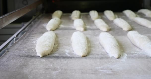 Panadero Haciendo Pan Cocinando Horno Industrial Baguette Orgánica Hecha Mano — Vídeos de Stock