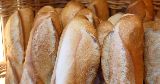 Čerstvě Vyrobené Chleba Pekárně Celozrnné Bio Bochníky Krásné Vynikající Francouzský — Stock video