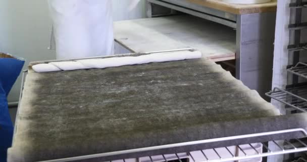 Bagare Bröd Och Matlagning Industriell Ugn Organiska Handgjorda Baguette Traditionell — Stockvideo