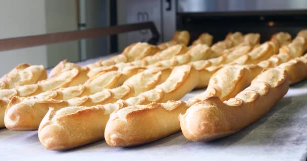 Panadero Haciendo Pan Cocinando Horno Industrial Baguette Orgánica Hecha Mano — Vídeos de Stock