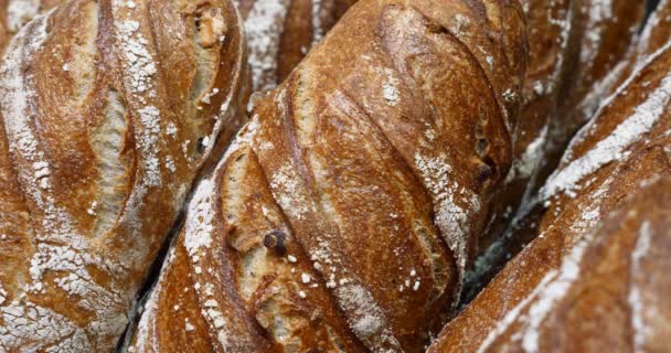 Frisch Gebackenes Brot Der Bäckerei Vollkorn Bio Laibe Schönes Leckeres — Stockvideo
