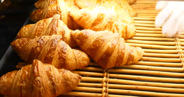 Franse Krokante Croissants Gebak Zelfgemaakte Bakkerij Display Voor Klanten Traditionele — Stockvideo