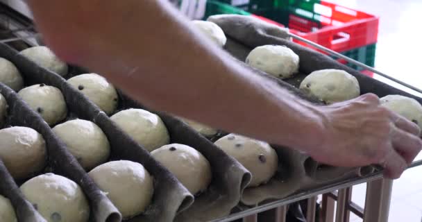 Fırıncı Ekmek Yapma Endüstriyel Fırında Pişirme Organik Yapımı Baget Geleneksel — Stok video