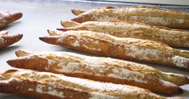 Panettiere Fare Pane Cottura Nel Forno Industriale Baguette Fatte Mano — Video Stock