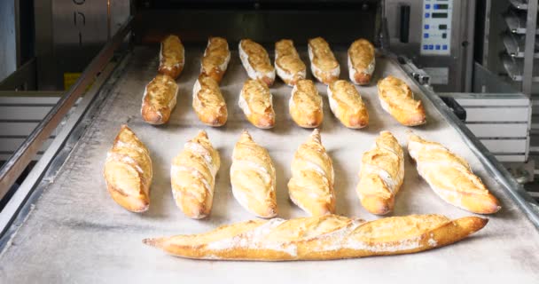 Panettiere Fare Pane Cottura Nel Forno Industriale Baguette Fatte Mano — Video Stock