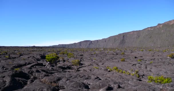 Dramatic Surface Volcano Crater Black Landscape Vegetation Reunion Inactive Calm — Stock Video