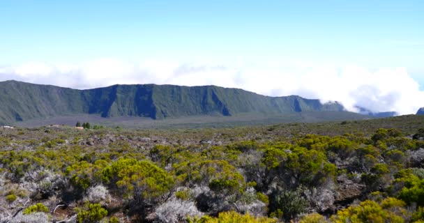 劇的な表面火山クレーター 黒い風景や植生の再会 アクティブでない穏やかな溶岩と熱帯の島 — ストック動画