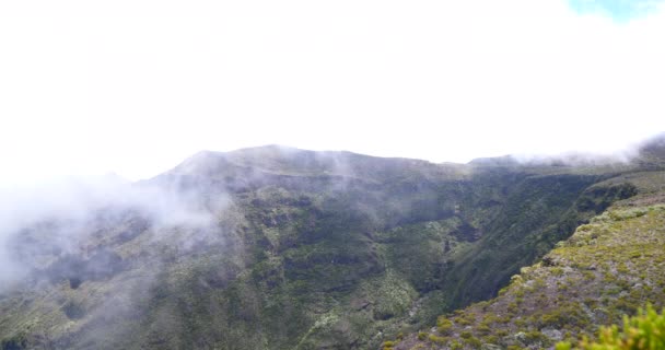 Szybkiego Ruchu Chmur Nad Tropikalną Roślinnością Góry Niesamowite Krajobrazy Mglisty — Wideo stockowe
