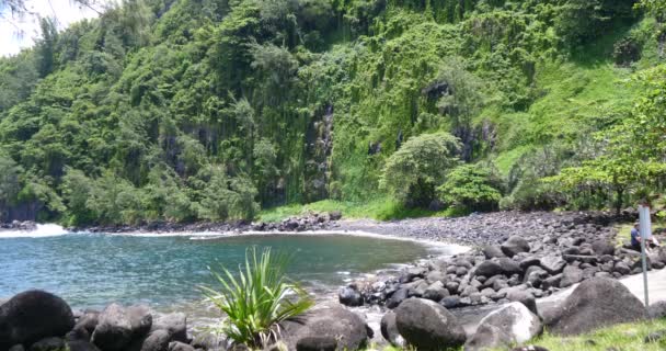 Tropischer Strand Dschungel Grüne Wilde Vegetation Auf Verlorener Insel — Stockvideo