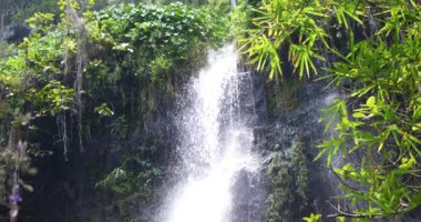 şelale tropikal doğa manzara, doğal kaynaklar, saf yeşil enerji, güzel sakin çevre güç güçlü aqua su düşmek cascade, Milli Parkı korumalı alan göl ve nehir