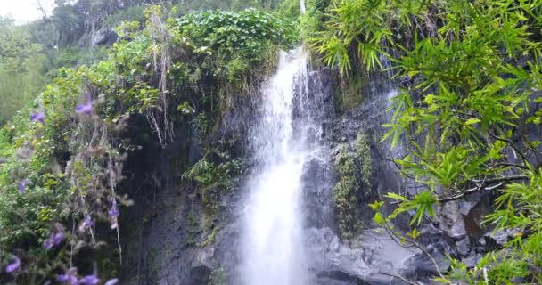 Waterfall Tropical Nature Landscape Power Natural Resources Pure Green Energy — Stock Video