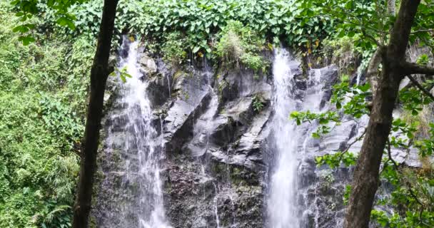 Cascada Paisaje Naturaleza Tropical Poder Los Recursos Naturales Energía Verde — Vídeo de stock