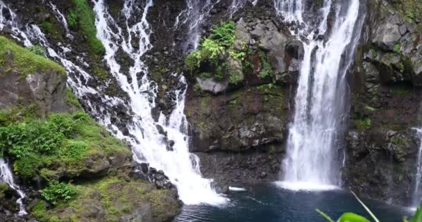 Waterfall Tropical Nature Landscape Power Natural Resources Pure Green Energy — Stock Video