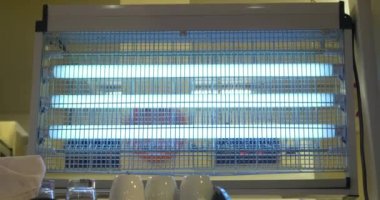 Mavi ışık lamba elektrik böcekler Sivrisinek ve Dükkanı sinekli öldürmek için uçan karıncalar katil