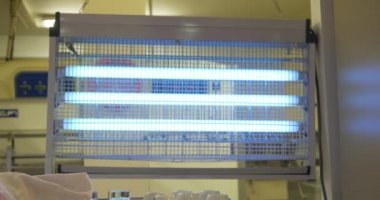 Mavi ışık lamba elektrik böcekler Sivrisinek ve Dükkanı sinekli öldürmek için uçan karıncalar katil