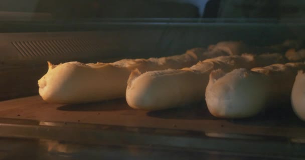 面包烹饪在工业烤箱面包店 — 图库视频影像