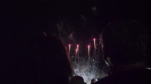 Επίδειξη Πυροτεχνημάτων Μεγάλο Φινάλε Ηπα Ιουλίου Νέο Έτος Γιορτή — Αρχείο Βίντεο