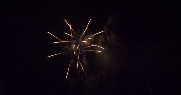 Fuochi Artificio Grande Finale Usa Luglio Festa Capodanno — Video Stock