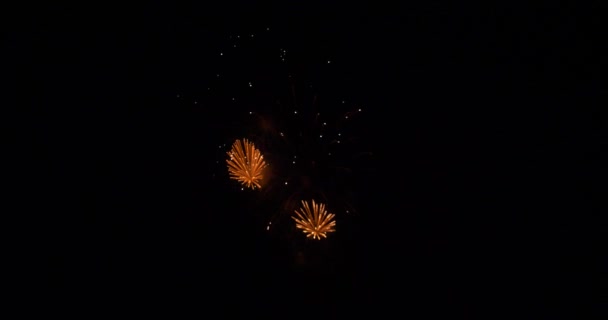 Fuochi Artificio Grande Finale Usa Luglio Festa Capodanno — Video Stock