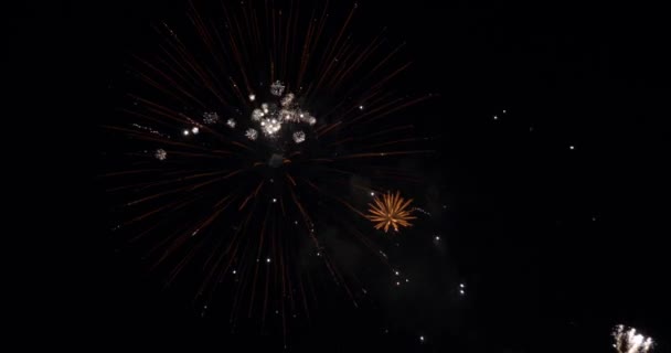 Fogos Artifício Exibem Grande Final Eua Julho Celebração Ano Novo — Vídeo de Stock