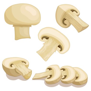 Vektör champignon mantar.