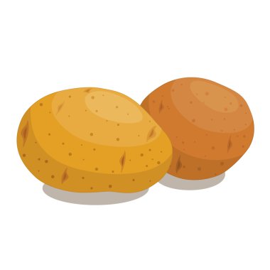 Patates illüstrasyon vektör