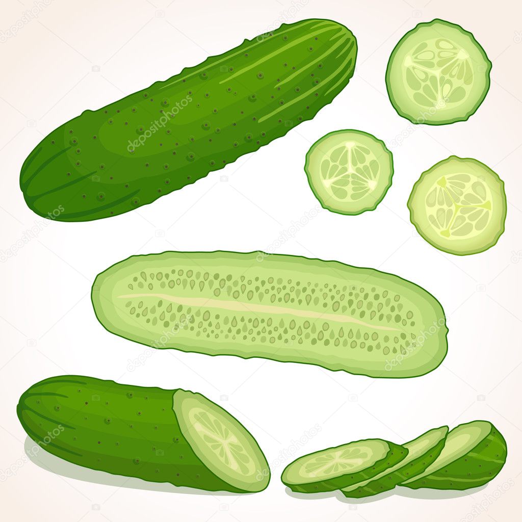 Vector cucumber , whole and sliced.