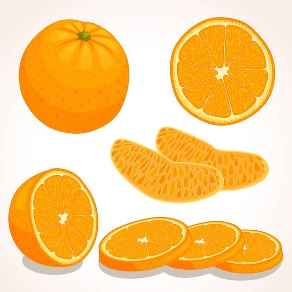 Vector naranja fresca. Rebanadas, enteras, medias naranjas . — Archivo Imágenes Vectoriales