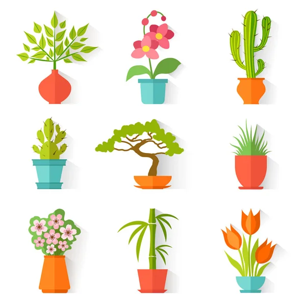 Vector icons of house plants. — Stock Vector