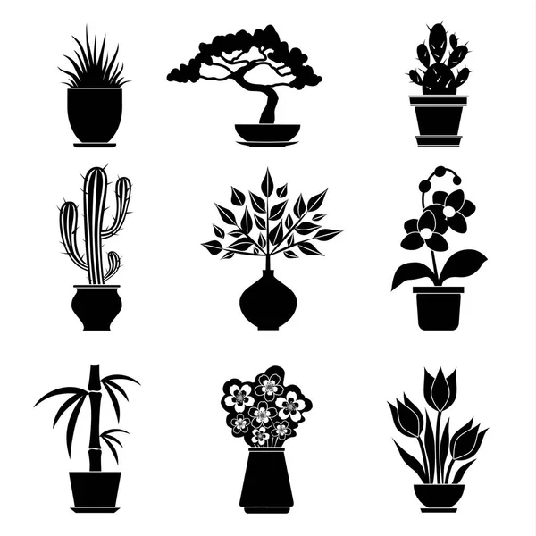 Set van silhouetten van kamerplanten. Vector. — Stockvector