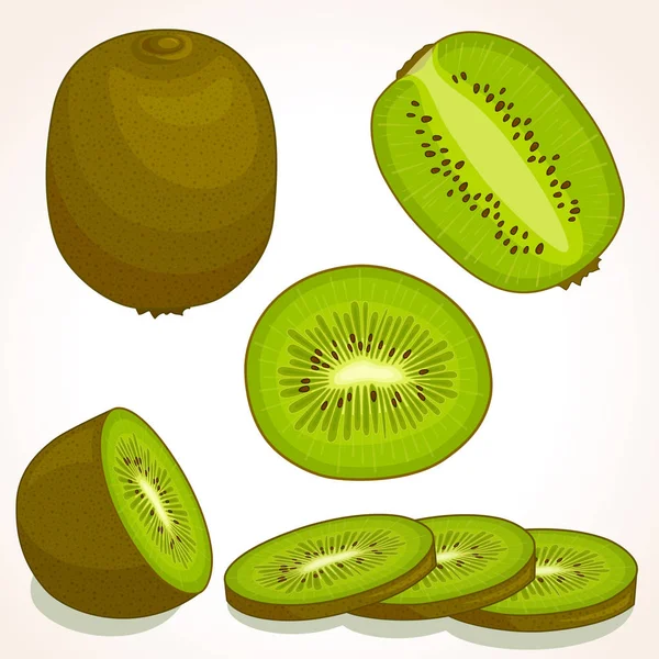 Kiwi vecteur frais. Tranchés, entiers, mi-kiwis . — Image vectorielle