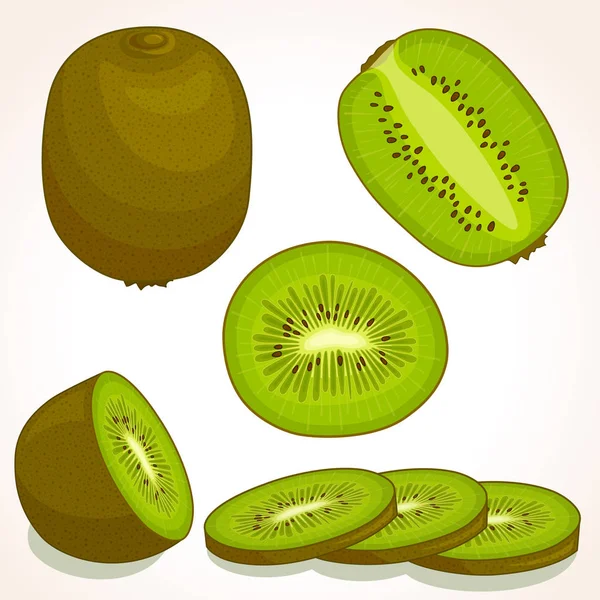 Vector kiwi fresco. Cortado en rodajas, entero, medio kiwi . — Vector de stock