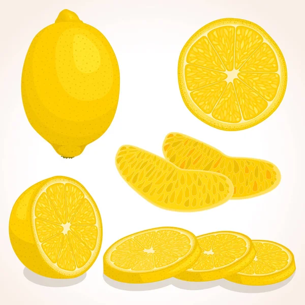 Vektor frische Zitrone. in Scheiben geschnitten, ganz, halbe Zitrone. — Stockvektor