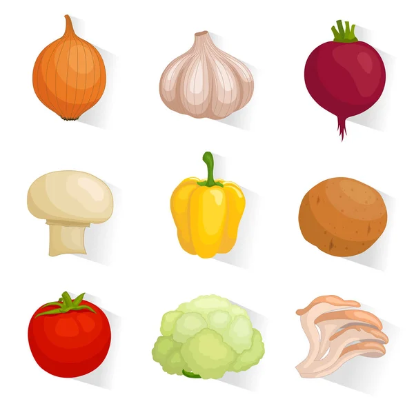 Iconos de verduras vectoriales para el diseño web — Archivo Imágenes Vectoriales