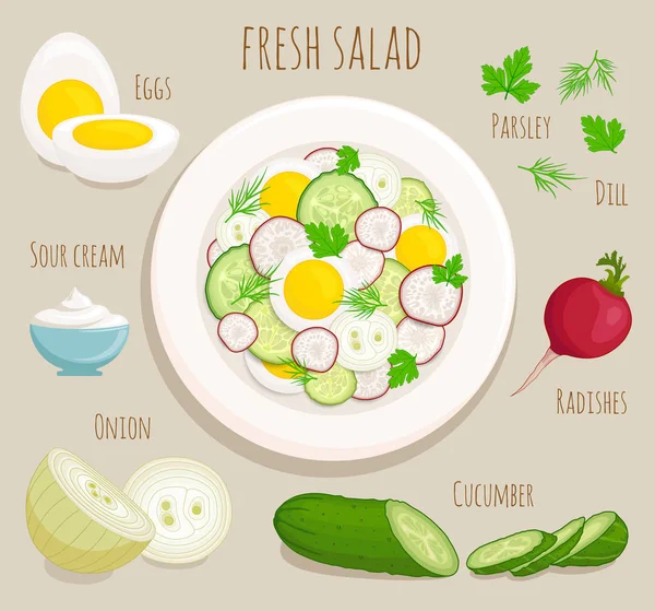 Recipe salad with ingredients. Vector. — Stock Vector