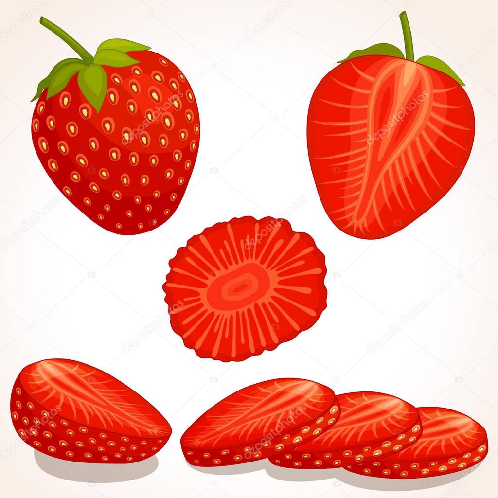 Vector strawberry. Sliced, whole, half strawberry.