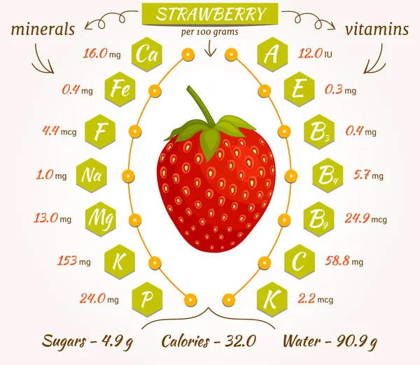 Infografis vektor stroberi . - Stok Vektor