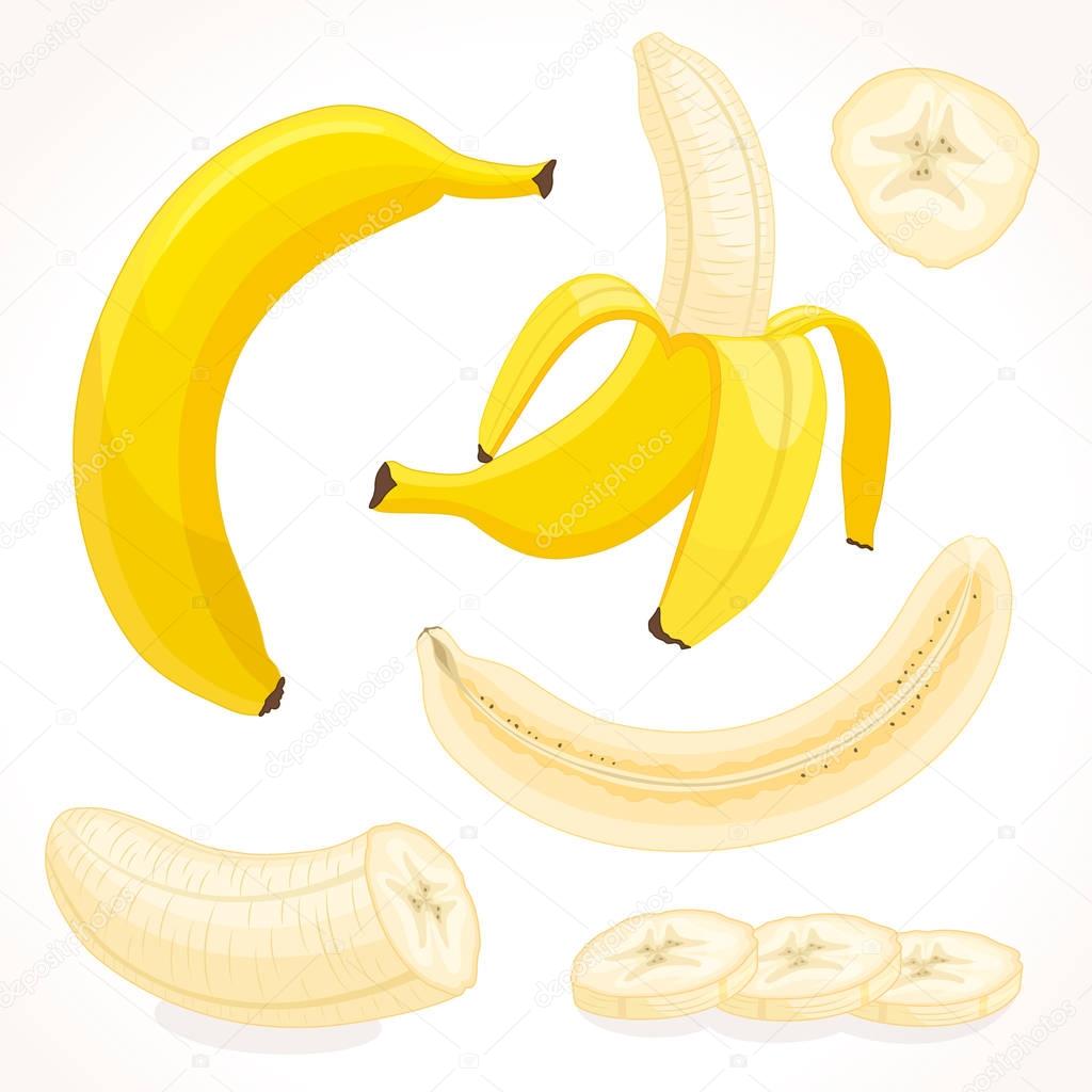 Vector banana. Sliced, whole, half banana.