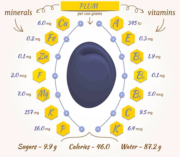 Infografías de ciruelas vectoriales . — Archivo Imágenes Vectoriales