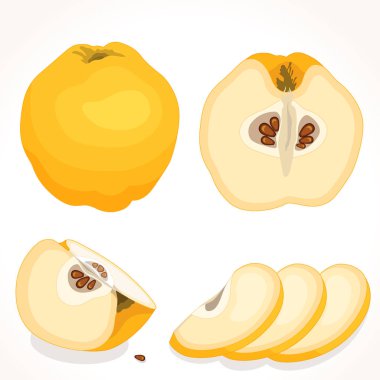 Vektör Ayva. Dilimlenmiş, Bütün, yarım Ayva.