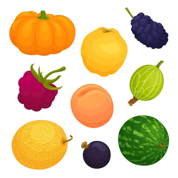 Iconos vectoriales de varias frutas y bayas . — Vector de stock