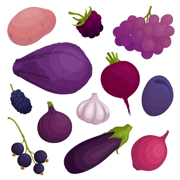 Conjunto Vectorial Comida Morada Verduras Violetas Frutas Bayas — Archivo Imágenes Vectoriales