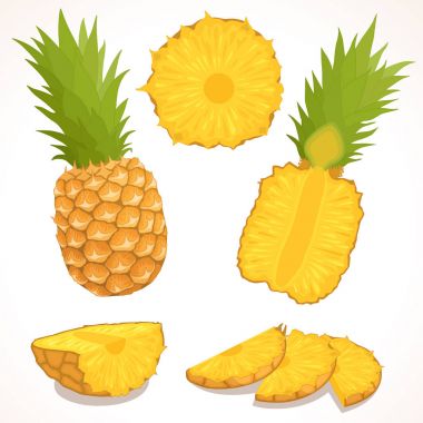 Ananas ayrıntılı bir örnek. Vektör.