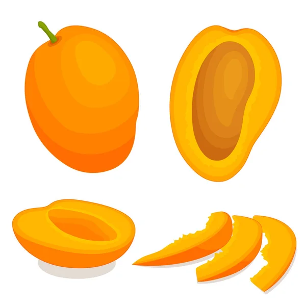 Mango maturo. Illustrazione vettoriale . — Vettoriale Stock