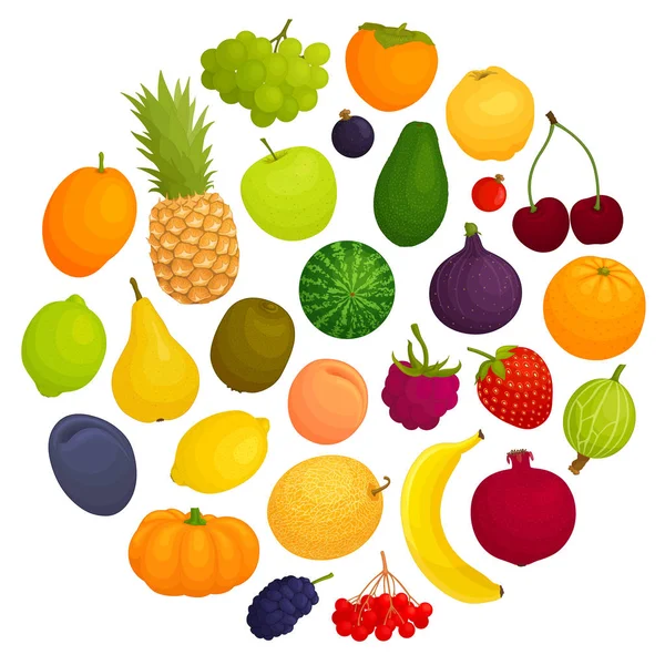 Fruta vetora. Um grupo de vários frutos . — Vetor de Stock