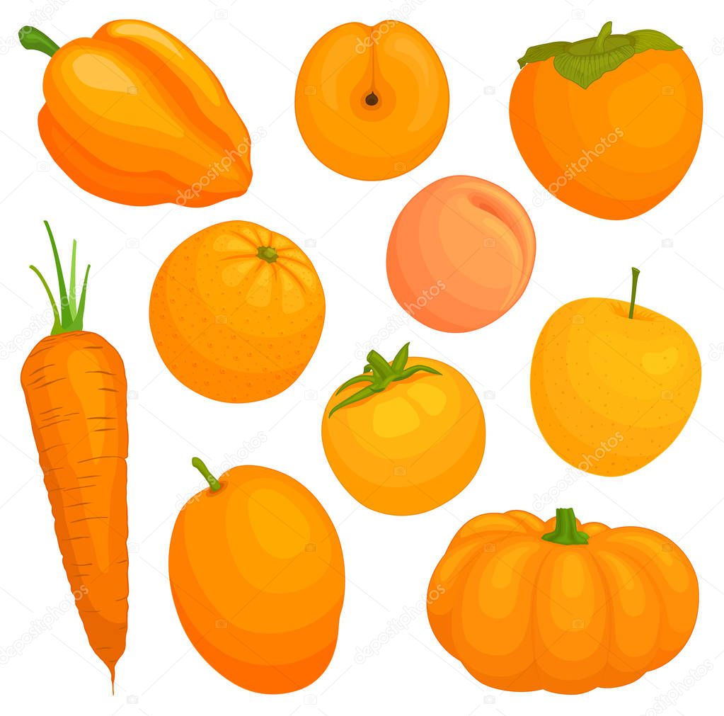 Vector orange vegetables and fruits.