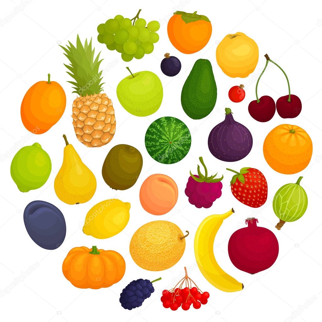 Vector fruit. A set of various fruits.